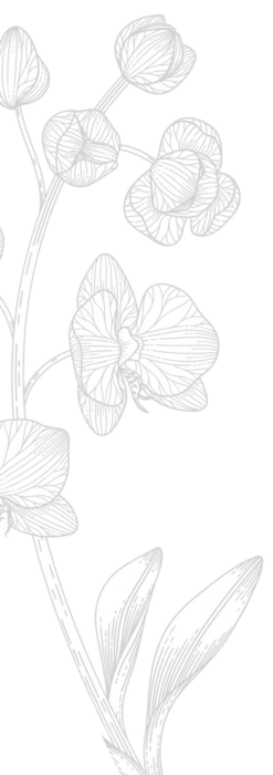 flower image