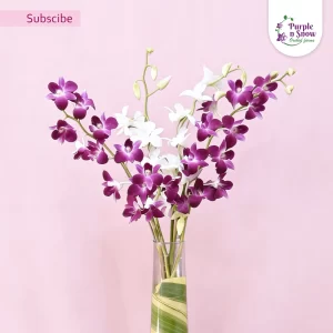 Set Of 4 Orchids - 2 Purple And 2 White Subscription