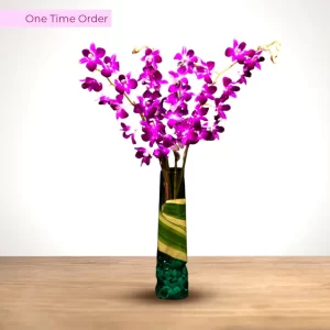 Set-Of-4-Orchids-All-Purple