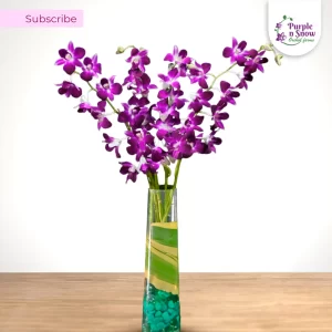Set Of 4 Orchids - All Purple Subscription