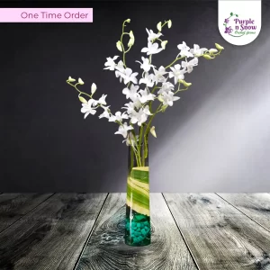 Set-Of-4-Orchids-All-White