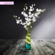 Set-Of-4-Orchids-All-White_Subscription Set-Of-4-Orchids-All-White_Subscription