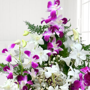 3 White And 3 Purple flowers purple n snow gallery