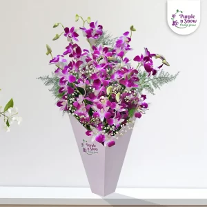 Cardboard-Pot-6-purple-sticks