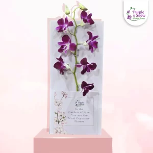 Pocket-White-BG-white-flowers-Purple