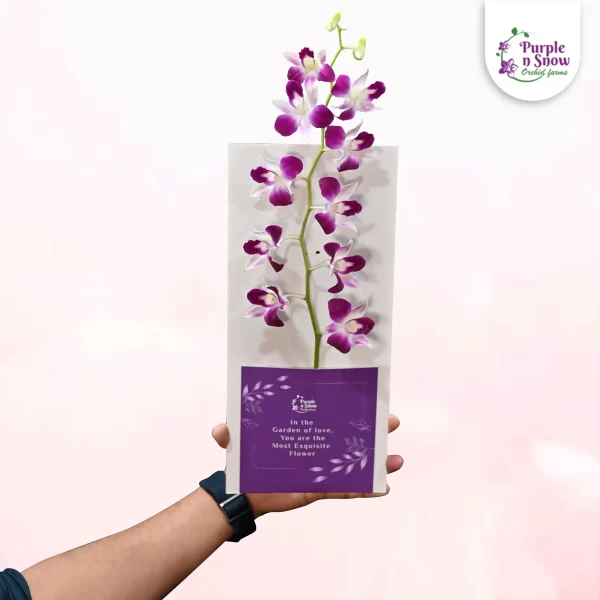 Pocket-purple-BG-white-flowers-Purple