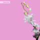 Set-Of-4-Orchids-All-White_Subscription2 White orchid set