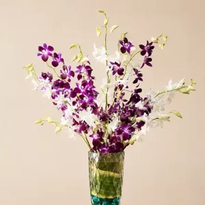 Set of 8 Orchids – 4 Purple and 4 White