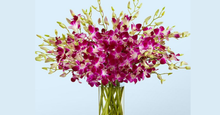 Flower Delivery in Thane