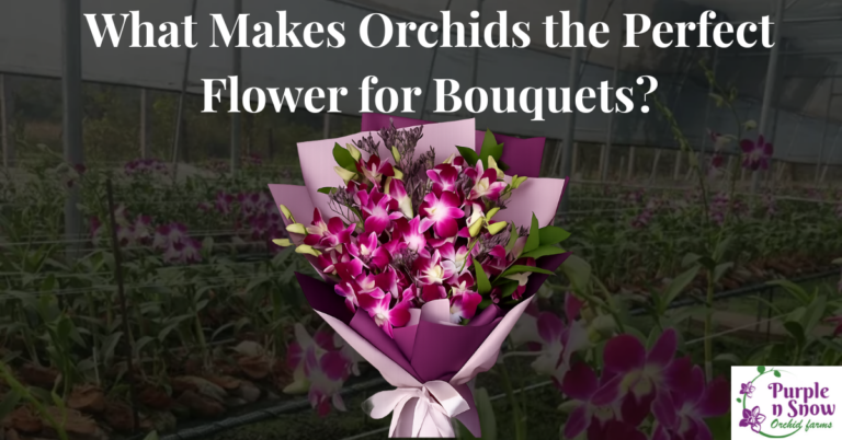 flower bouquet orchids