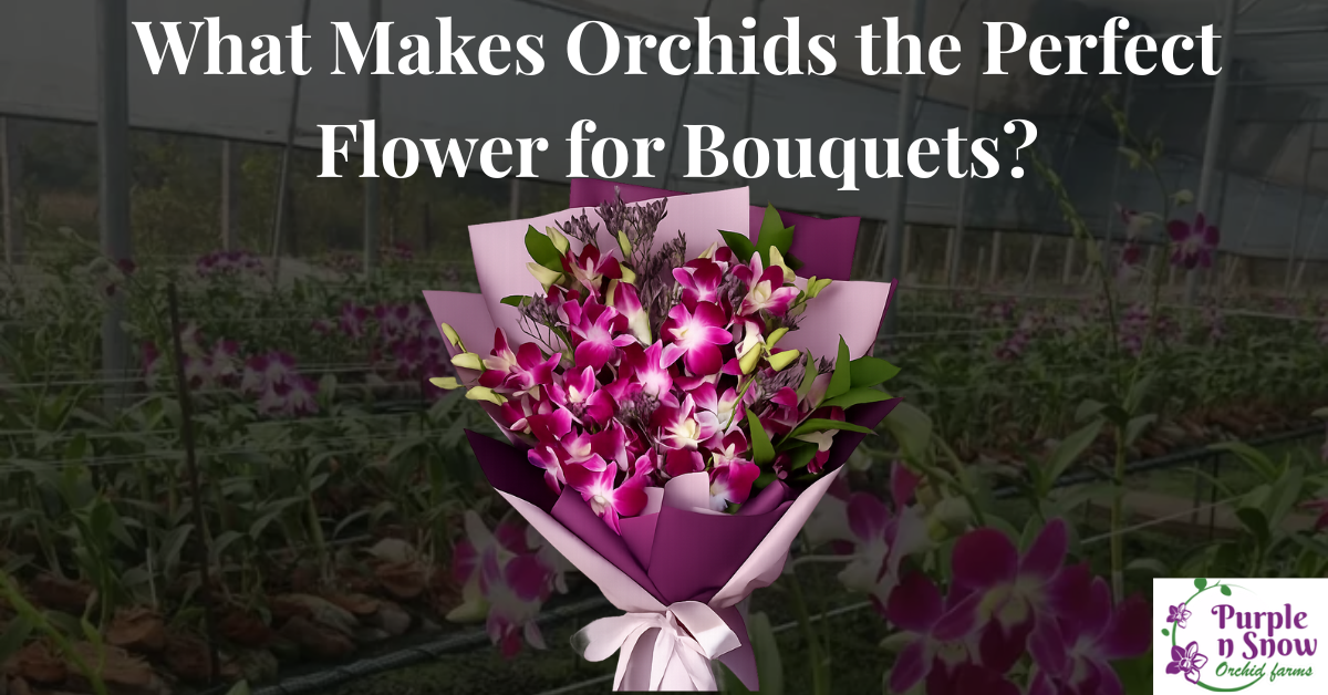 flower bouquet orchids