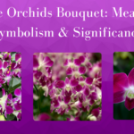 purple orchids bouquet