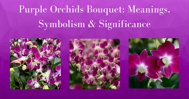 purple orchids bouquet