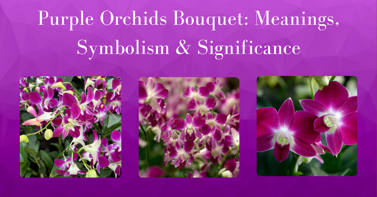 purple orchids bouquet