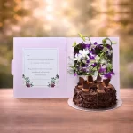 Chocolate Snowflakes Cake