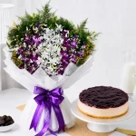 Blueberry Baked Cheese Cake