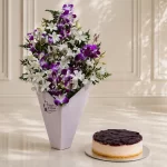 Blueberry Baked Cheese Cake