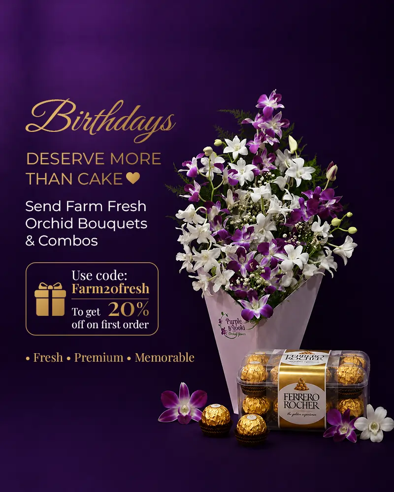 website chocolate post