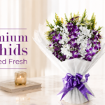 orchids online delivery