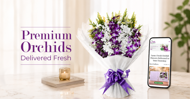 orchids online delivery