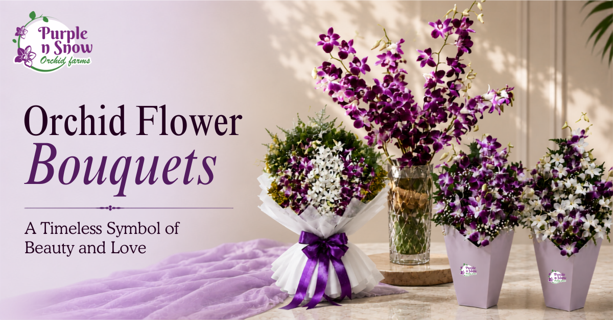 Orchid Flower Bouquets